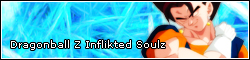 Dragon Ball Z: Inflikted Soulz