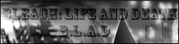 Bleach: Life and Death 2